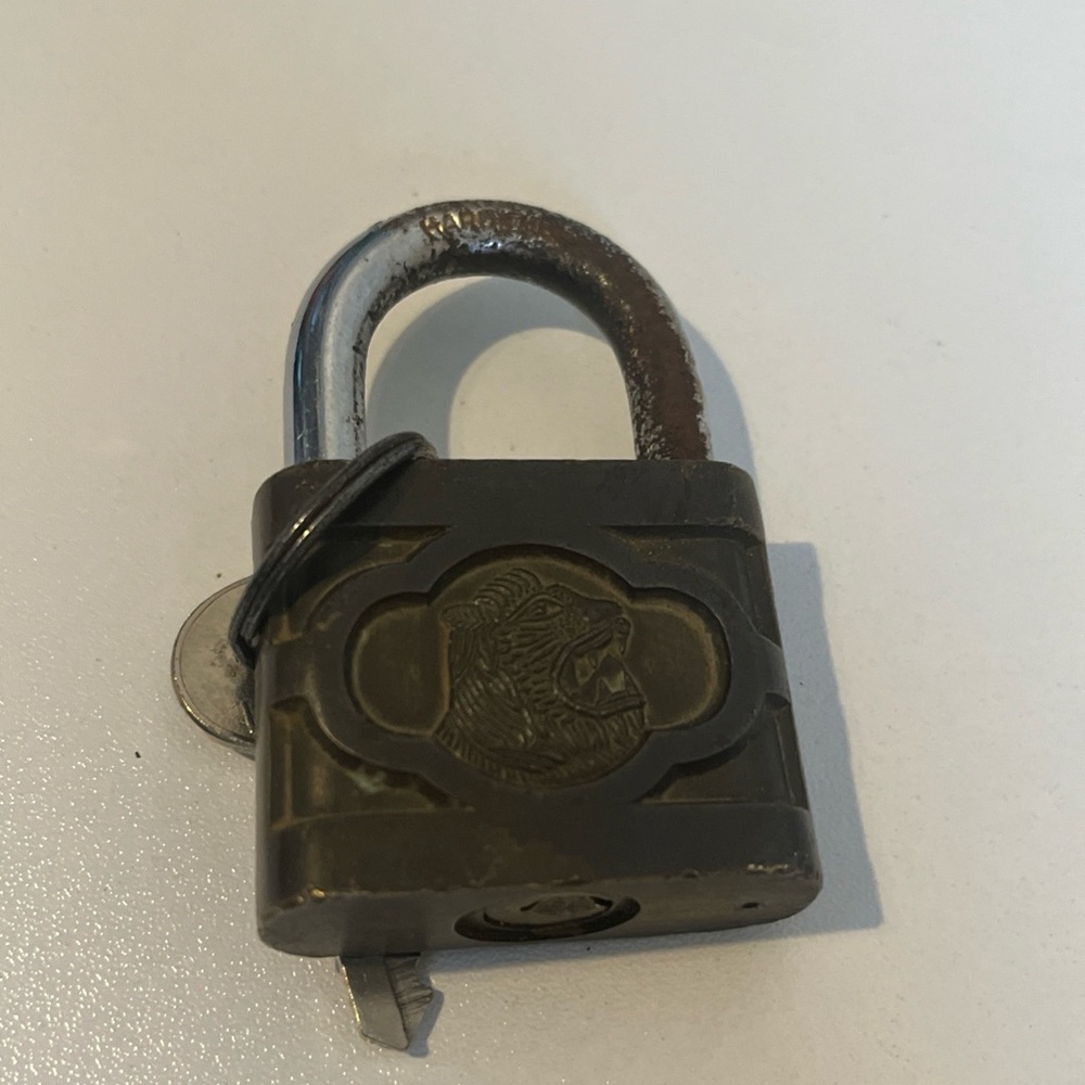 Vintage Lion Head Brass Master Key Padlock with Key